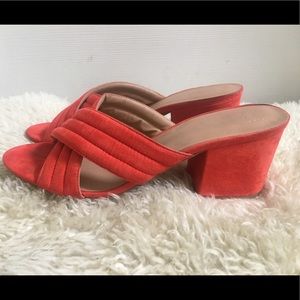 Coral Mules